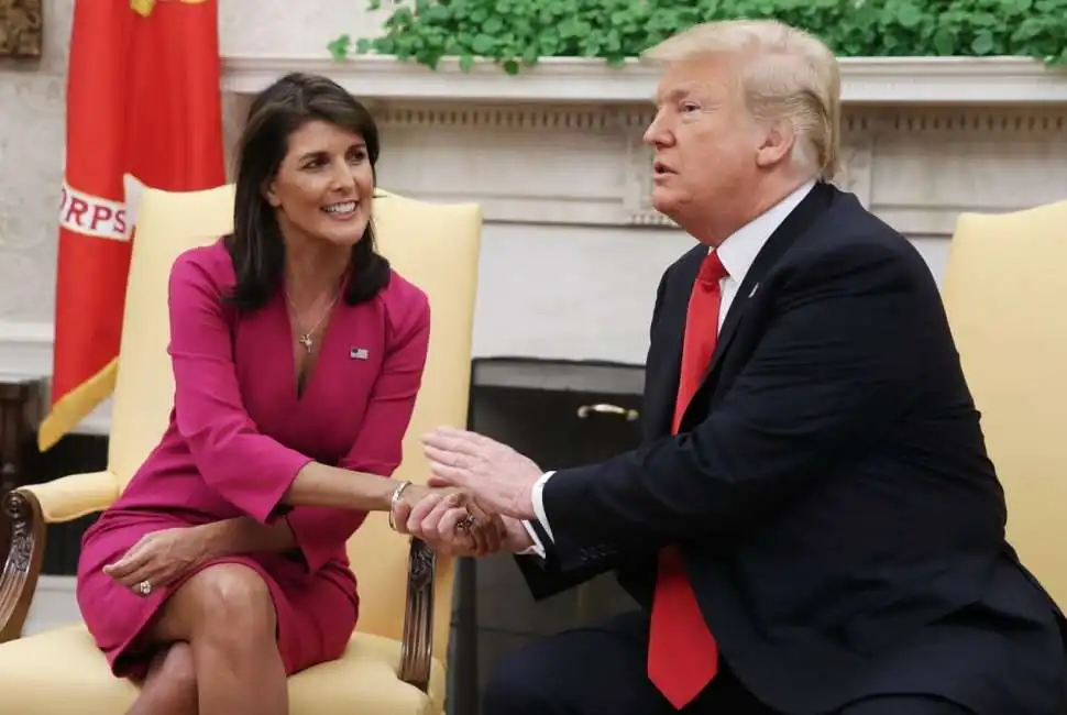 nikki haley donald trump