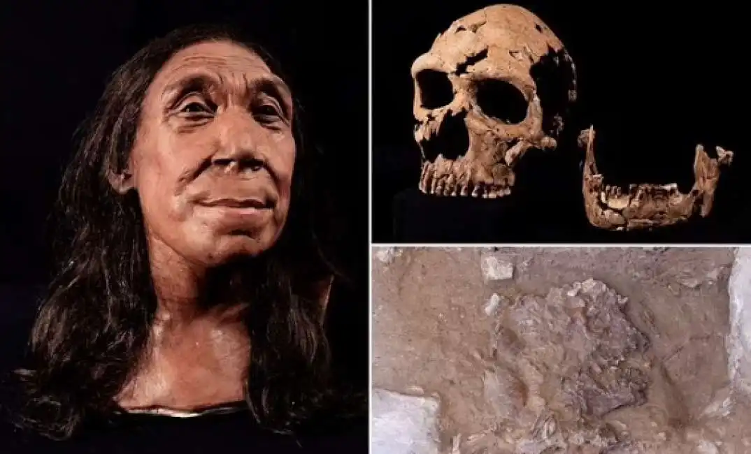 ricostruzione del volto della donna di neanderthal shanidar z