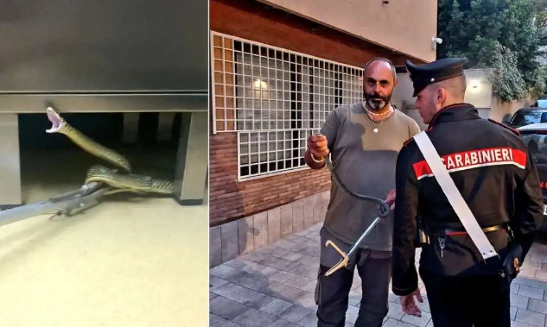 serpente in una clinica di roma - 1