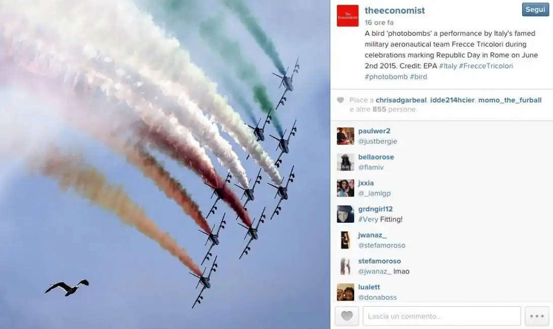 economist frecce tricolori gabbiano photobomb 