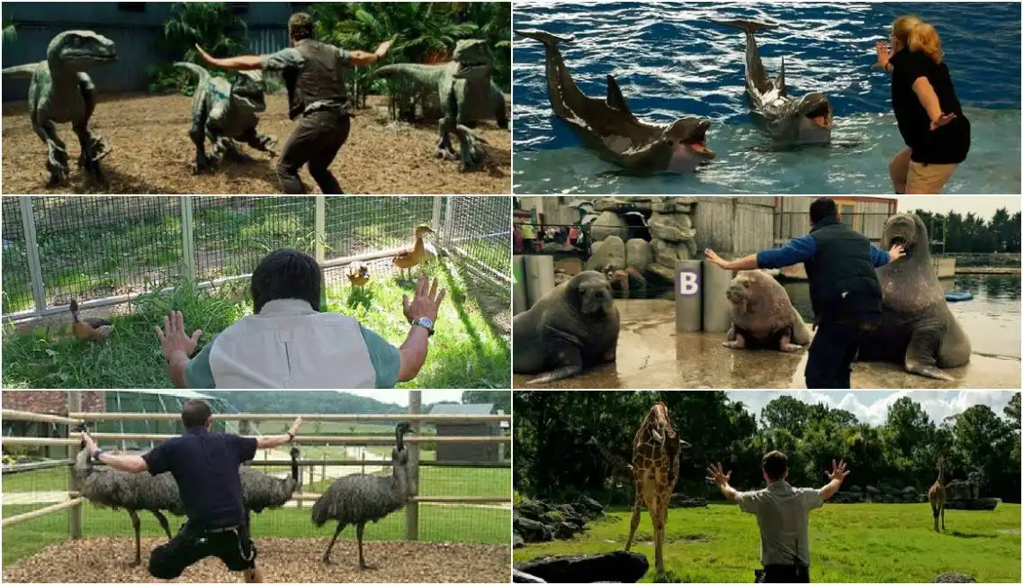 jurassic zoo