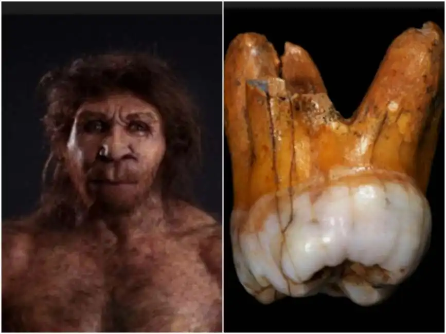 denti uomo di neanderthal