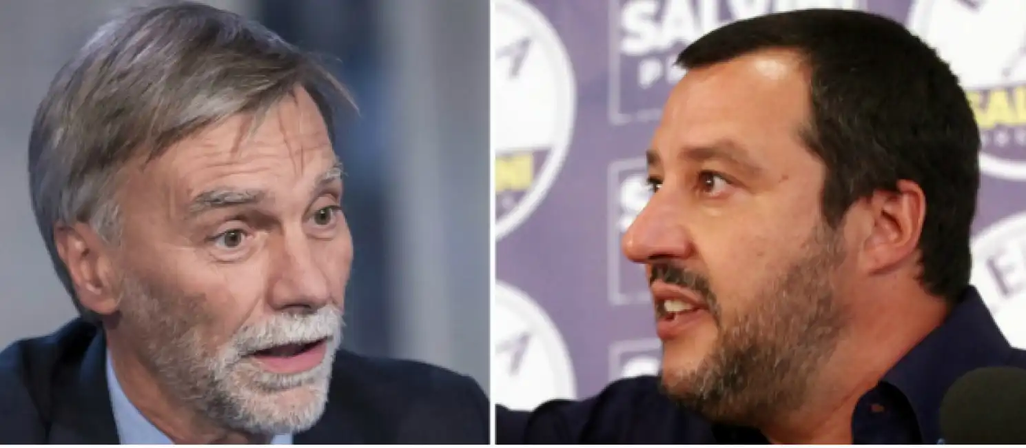 delrio salvini