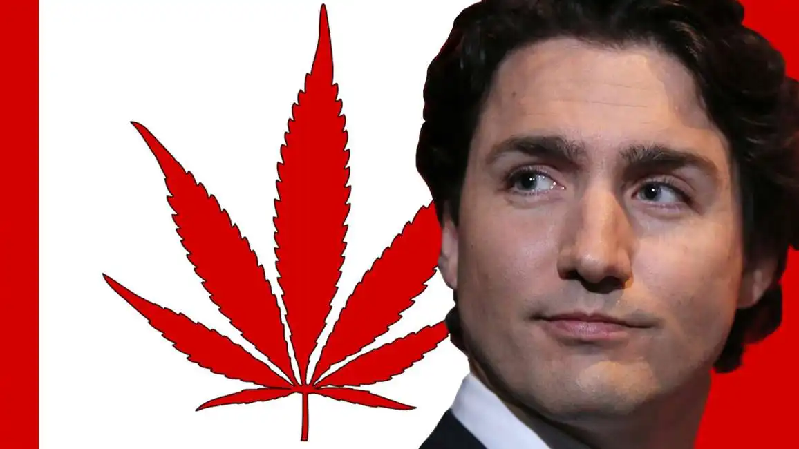 trudeau canada marijuana