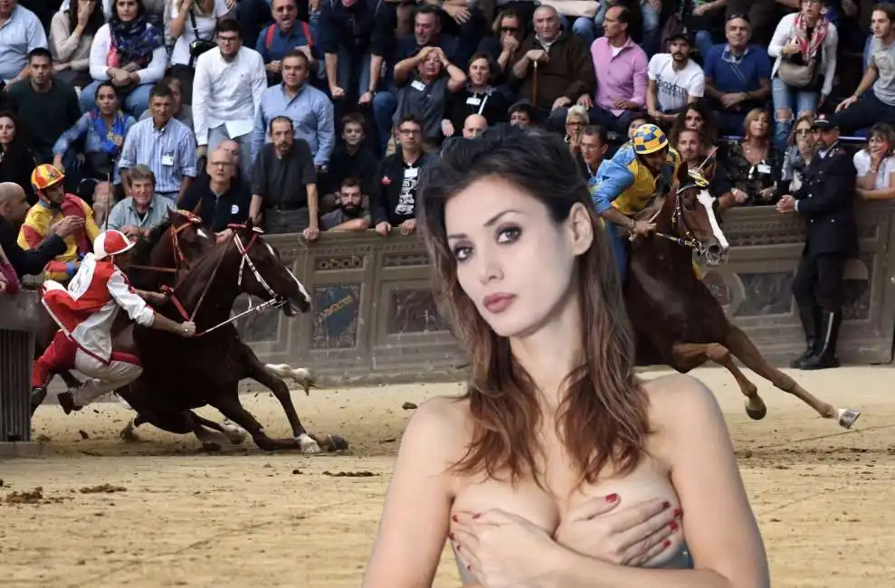 daniela martani palio di siena