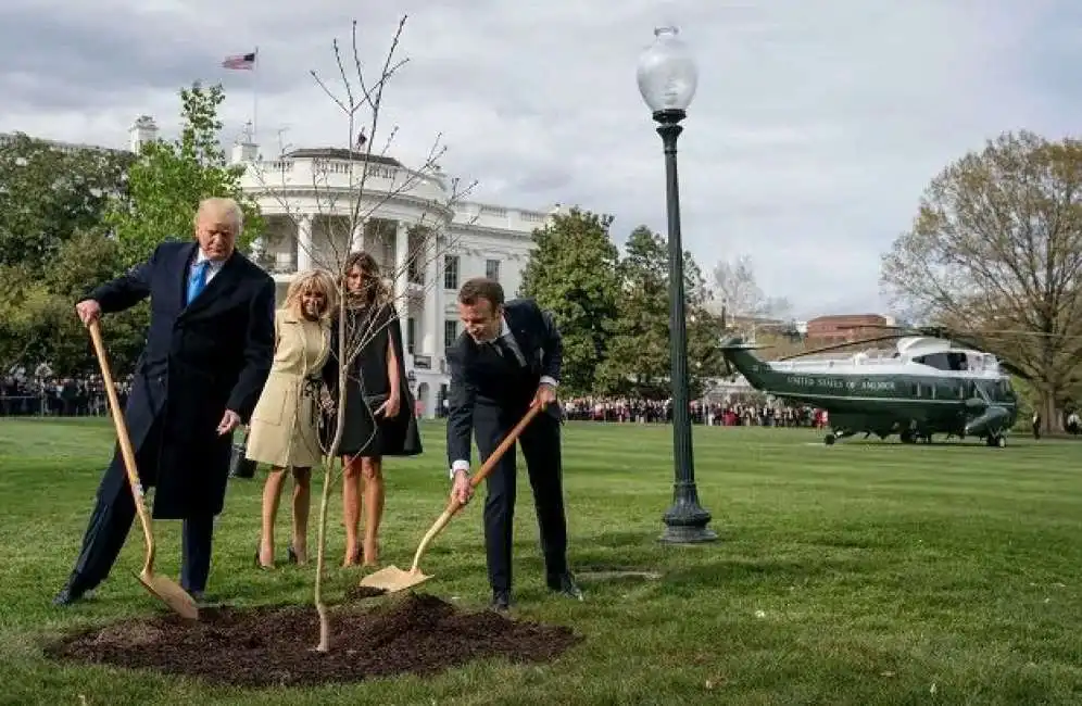 quercia piantata da macron e trump-7