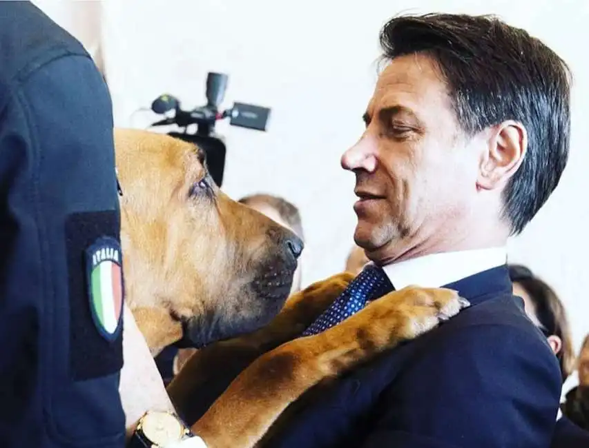 giuseppe conte cane