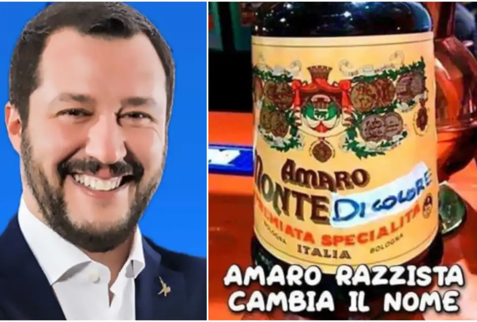 salvini amaro montenegro