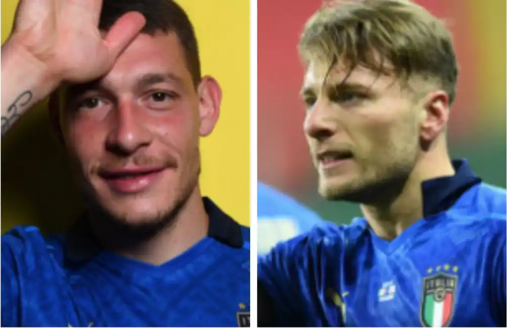 belotti immobile