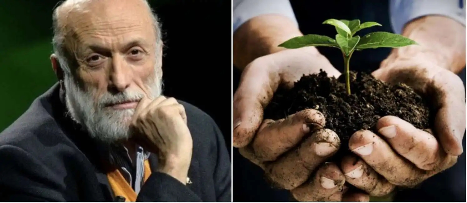 petrini bio