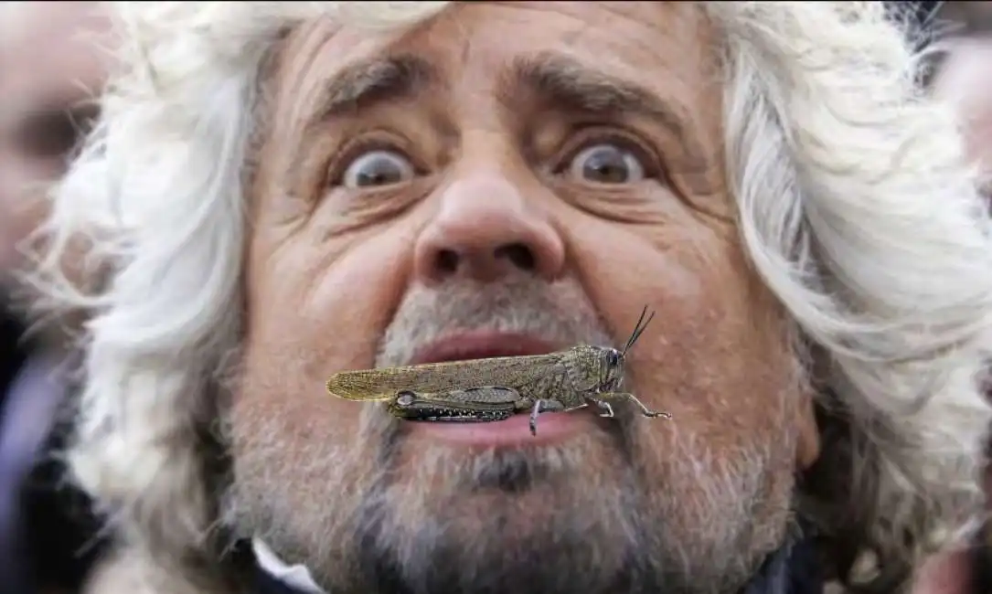 beppe grillo insetti