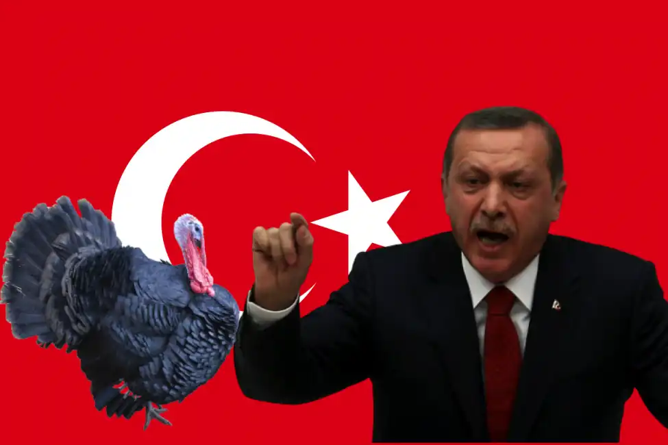 erdogan turchia turkey tacchino turkiye 