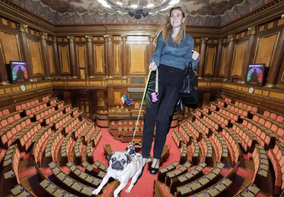 michaela biancofiore senato animali