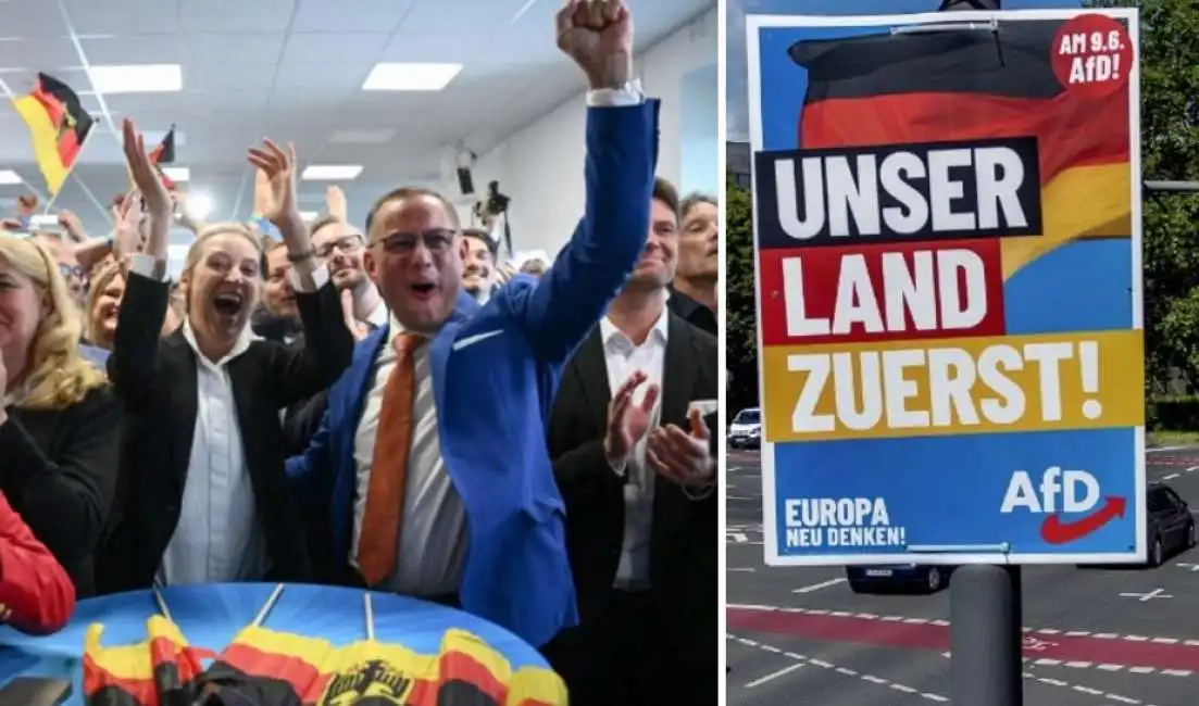 afd elezioni europee germania