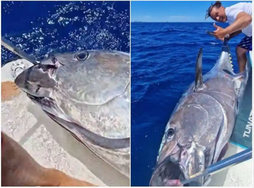 mattia giovannini prende tonno rosso da 220 chili a santa teresa gallura