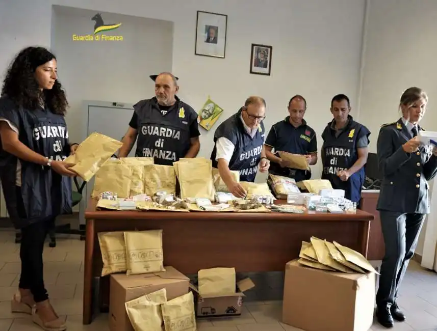 operazione mister muscolo - guardia di finanza