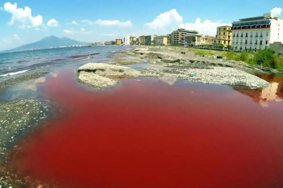 campania fiume rosso