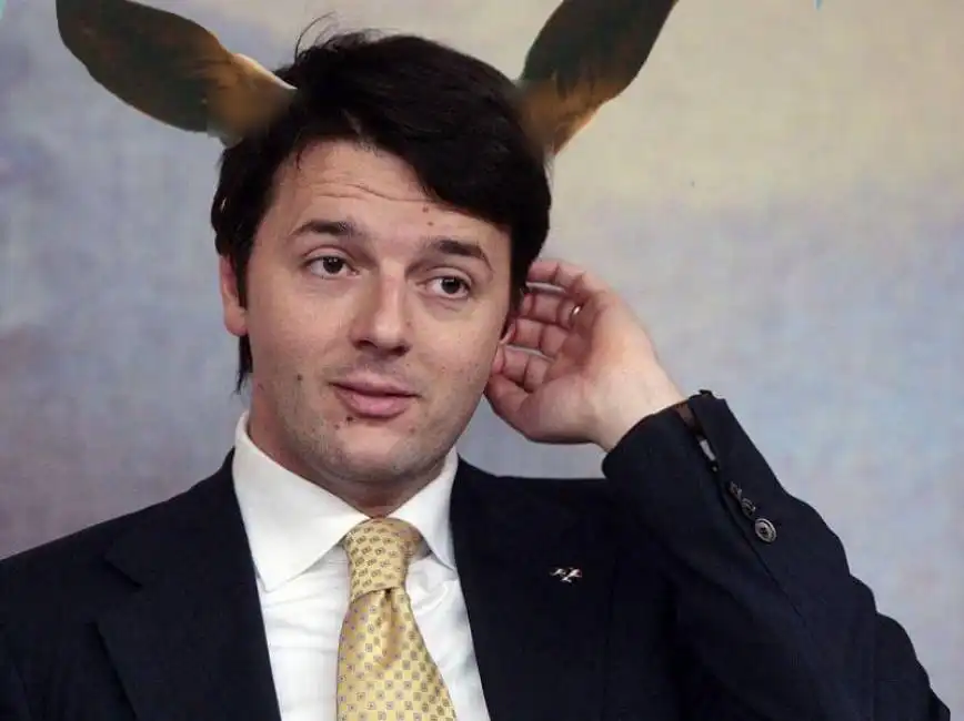 renzi asino