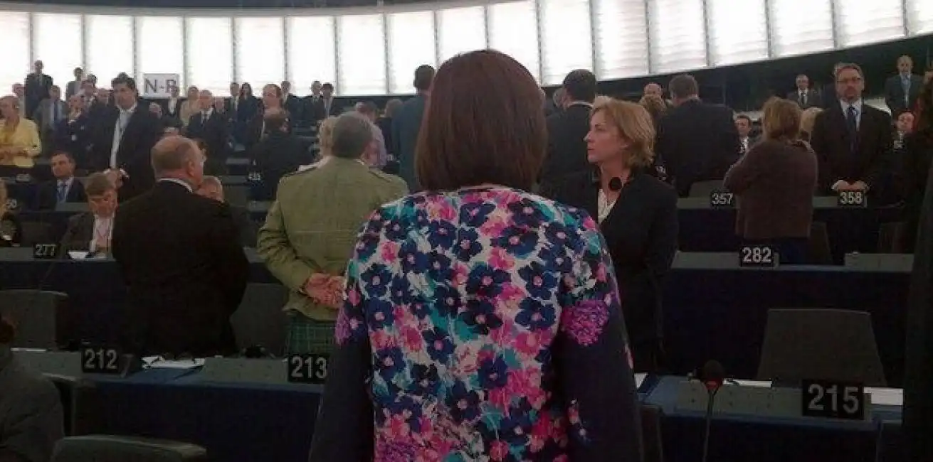 ukip europarlamento farage parlamento europeo