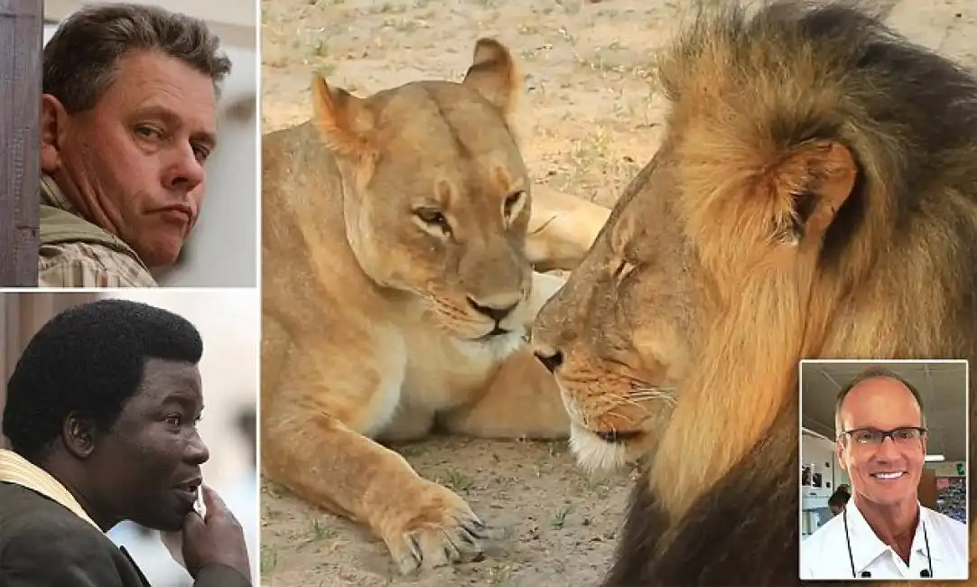 walter palmer cecil il leone e i due cacciatori