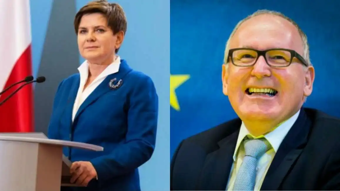 big timmermans polonia