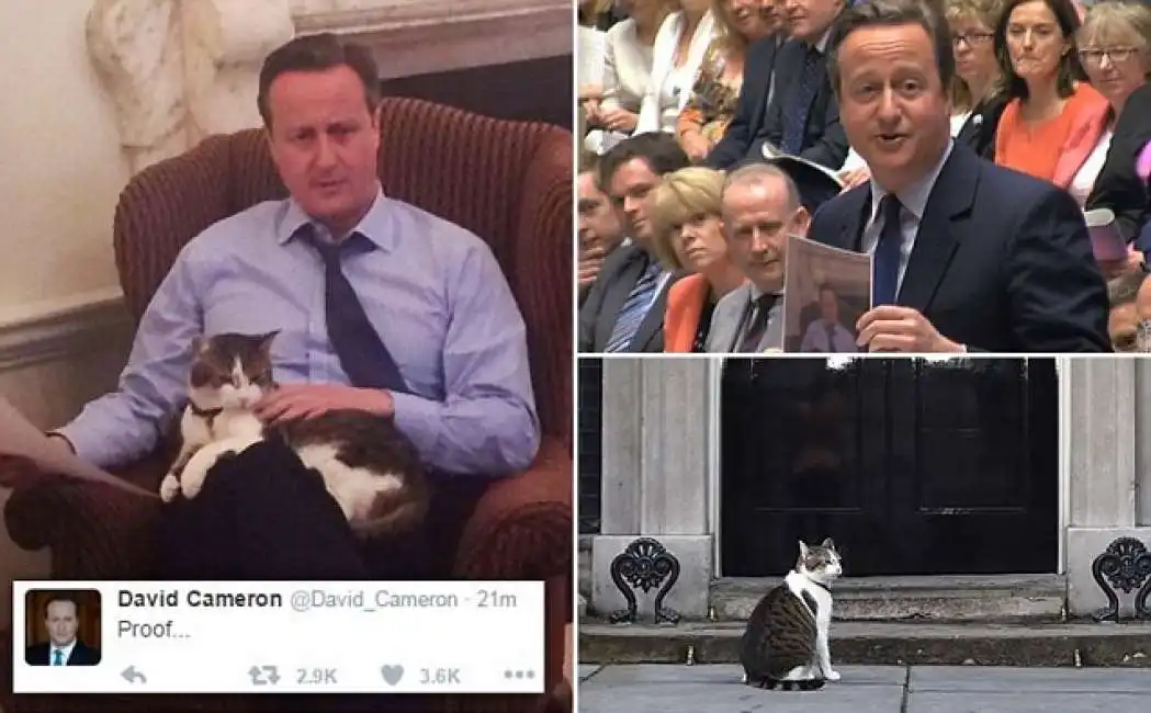 david cameron con larry il gatto di downing street