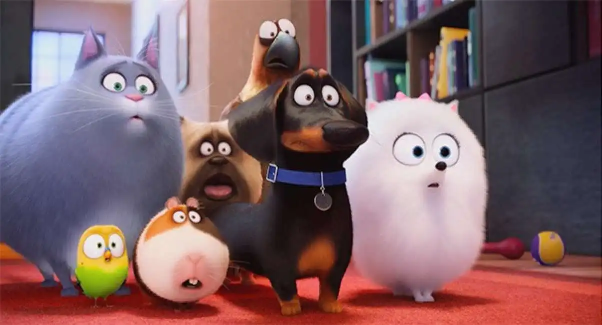 the secret life of pets la vita segreta degli animali