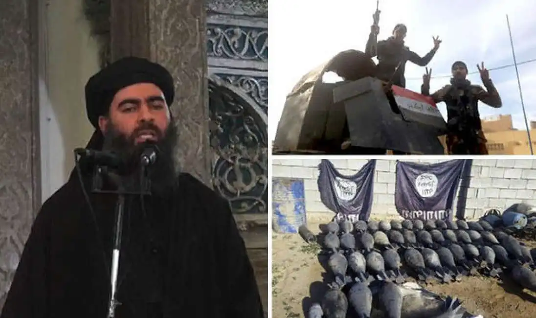 al baghdadi califfo