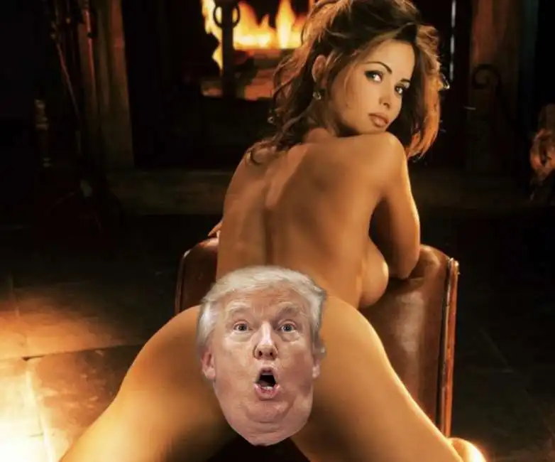 karen mcdougal trump