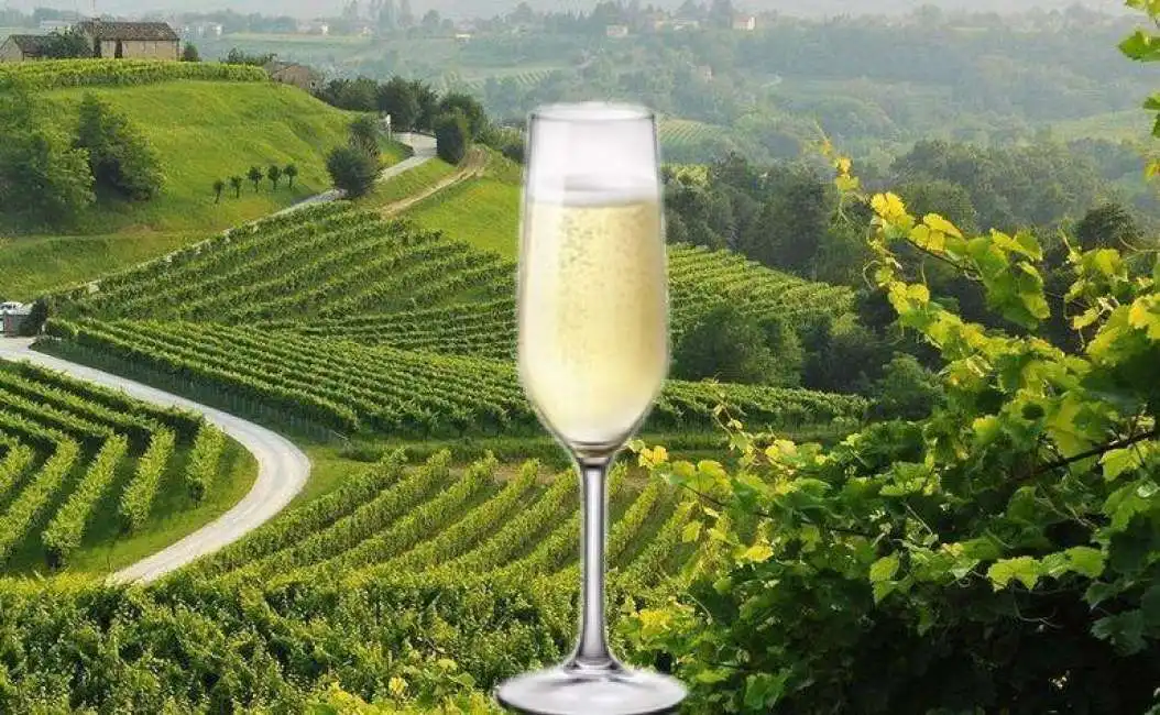 colline prosecco