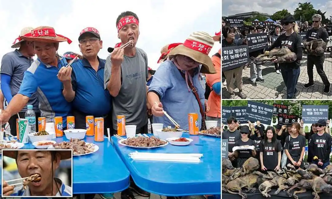 kim basinger contro la carne di cane in corea del sud-16