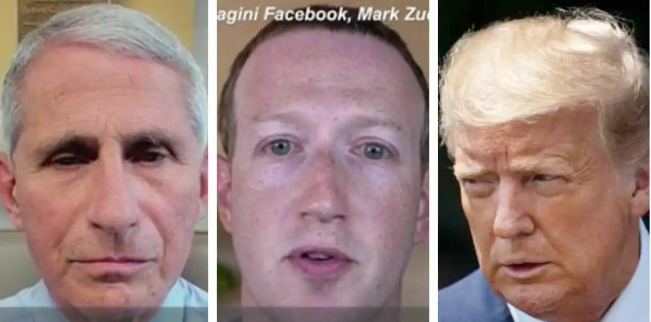 fauci zuckerberg trump