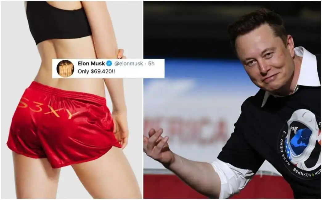 gli short shorts di tesla ed elon musk