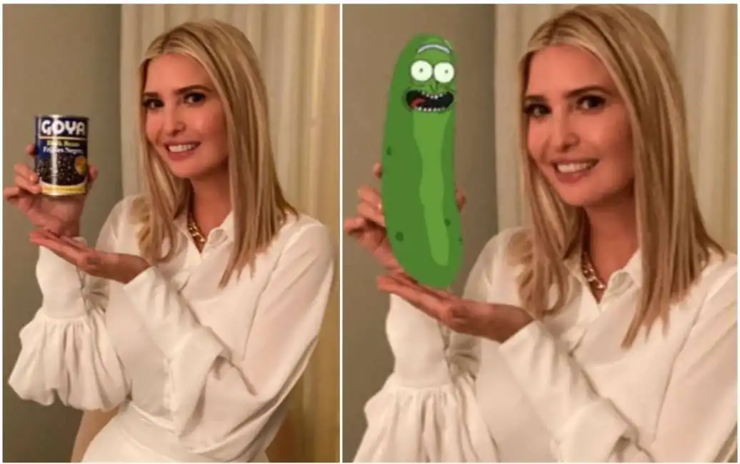 meme su ivanka trump-4