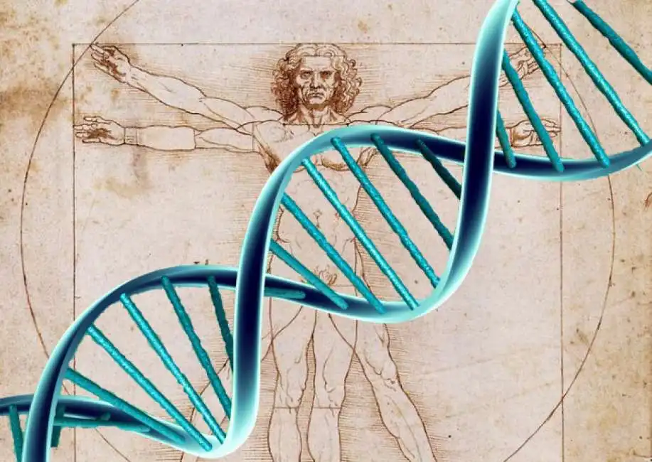 da vinci dna