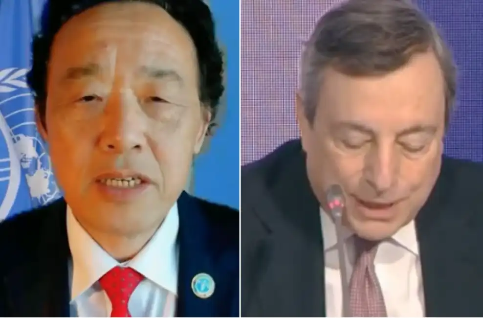 qu dongyu draghi