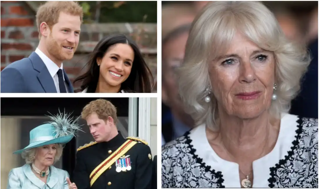 camilla harry meghan