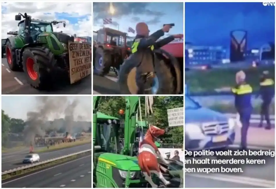 olanda proteste agricoltori