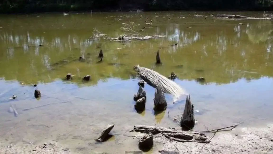 palafitte dell eta del bronzo emersi dal fiume oglio 