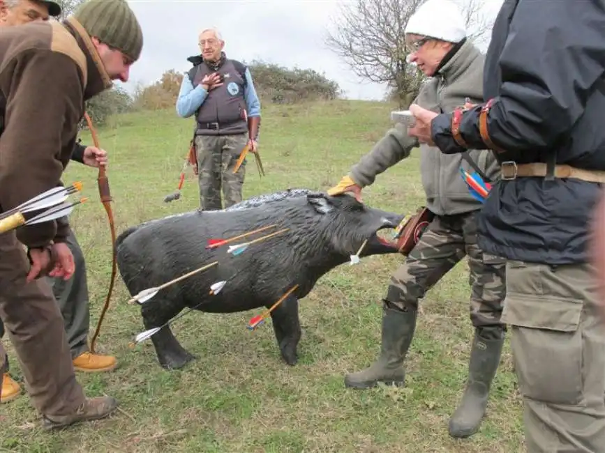 arcieri cinghiale caccia