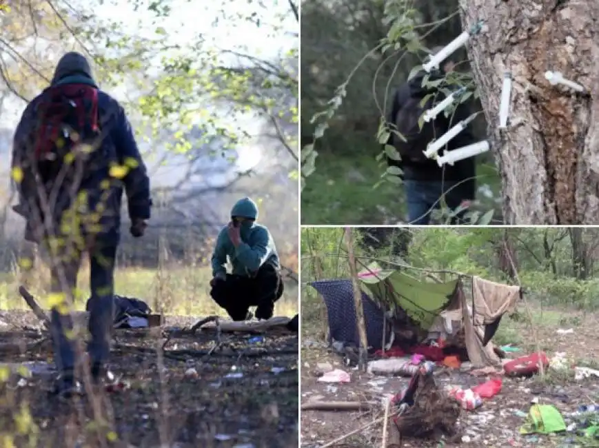 bosco della droga rogoredo 