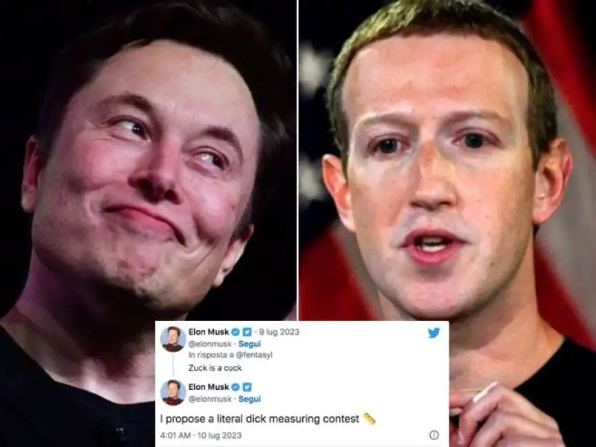 elon musk mark zuckerberg 