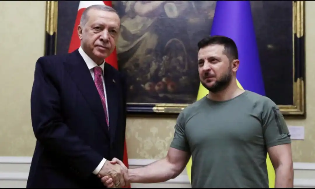 erdogan zelensky