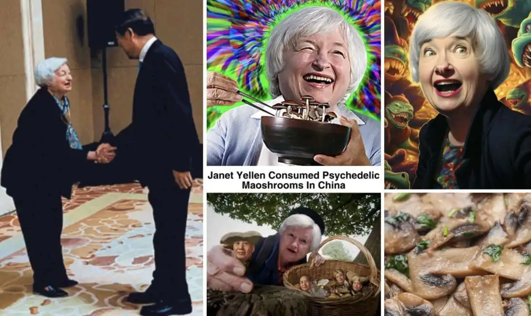 janet yellen con he li feng funghi allucinogeni cina droga 