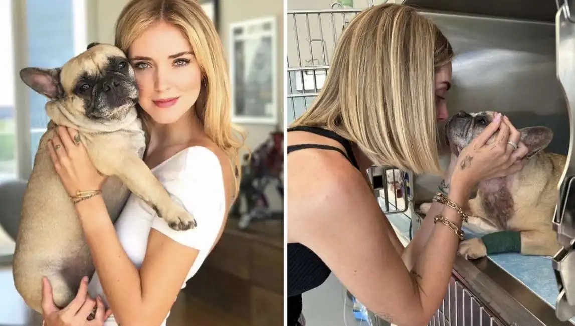 l messaggio di chiara ferragni per la morte del suo cane matilda