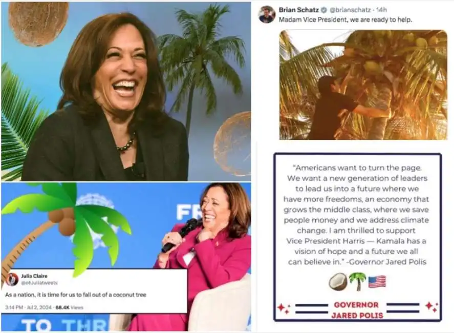 kamala harris e il sostegno sui social con albero di cocco