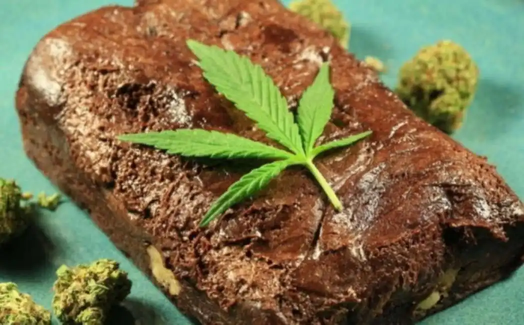 torta all'hashish marijuana space cake