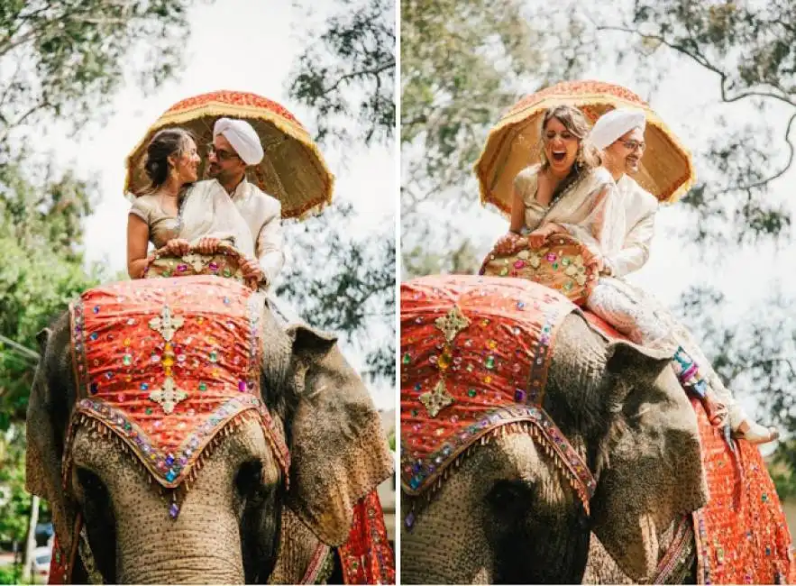 a dorso di elefante per il matrimonio