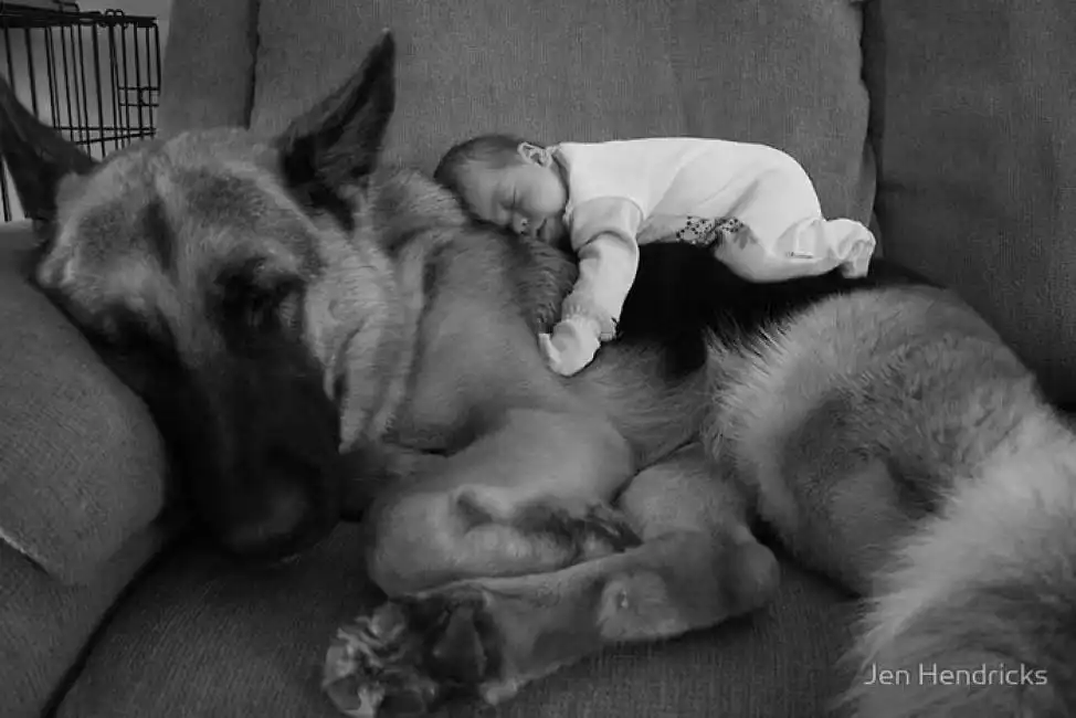 cagnoloni bambini