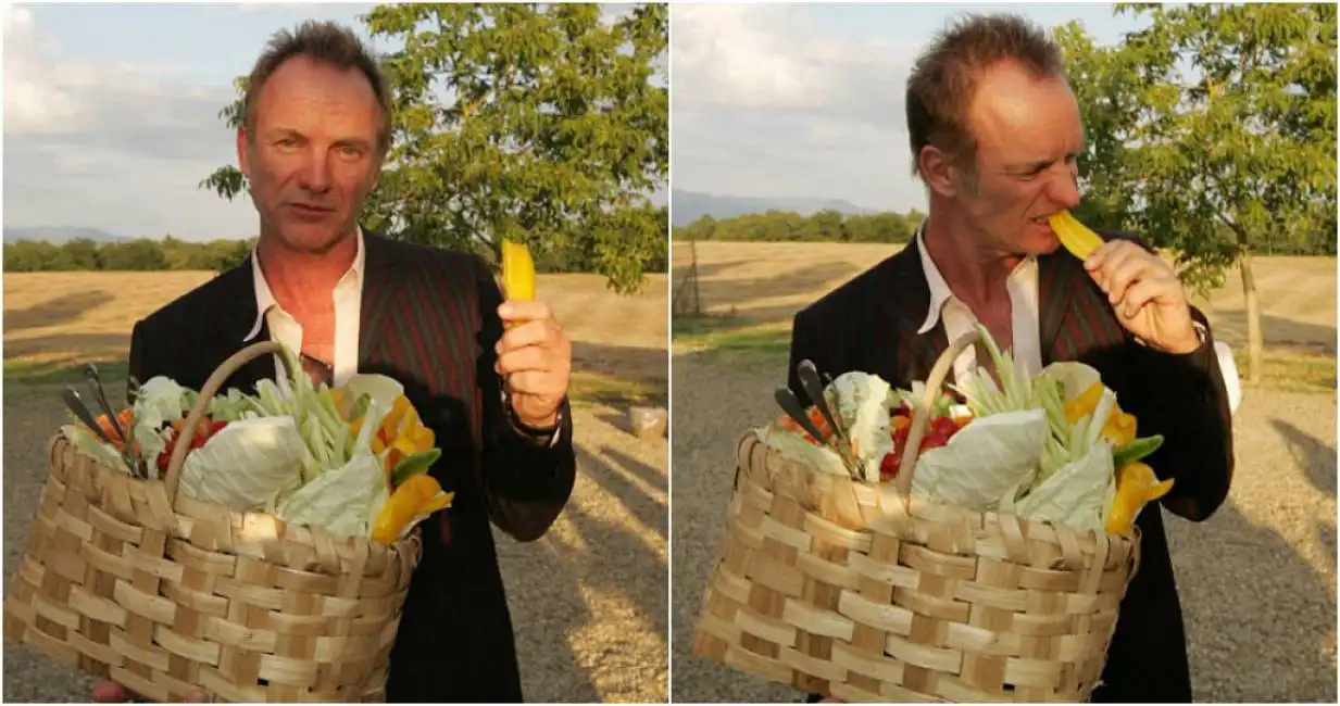 sting campagna chianti toscana